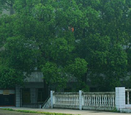 遵义四中始下去1915年,1953年确建于贵州省首批重点中学之一定为不高中感觉在混图片