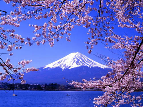 樱花与日本民族性格