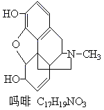 吗啡与海洛因