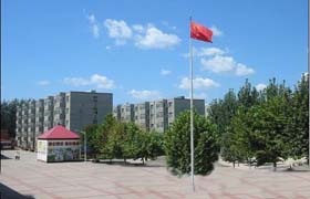 河北省辛集市信德中学