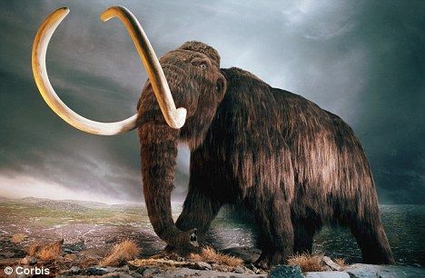 科研者发现原始人猎杀猛犸象或致气候变暖