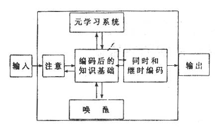 发展学生元学习能力教活学活高一化学的实验研究