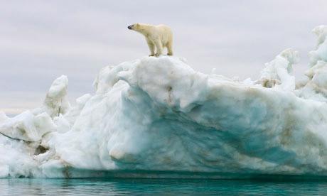 there has been   40% decrease in the extent of summer sea ice