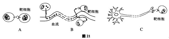 高考生物真题分类汇编精讲:神经-体液调节(5)