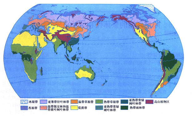 2013高考地理重点地图:世界陆地自然带