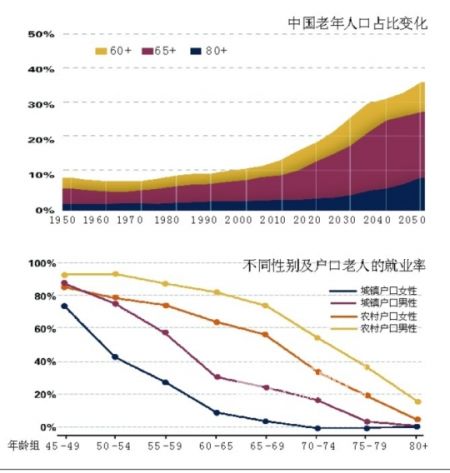 目前中国老年人口老龄_中国人口老龄思维导图(3)