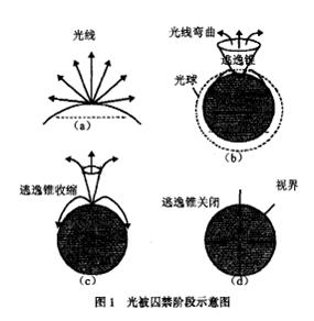 黑洞及其视界附近的物理规律