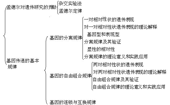 孟德尔遗传定律教案范文_孟德尔遗传定律图解_孟德尔遗传定律教案范文