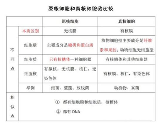 高中生物知识点:原核细胞和真核细胞