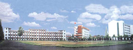 仙桃市彭场高级中学创建于1956年,是湖北省首批108所省级重点中学