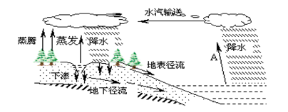 高考地理必背知识点 水循环