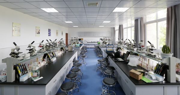 湖南高中开展高大上生物实验