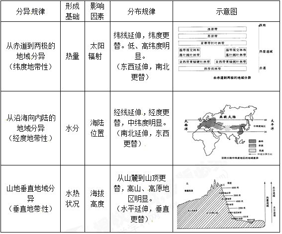 的水平自然带(基带)一致,从山麓到山顶的自然带更替与纬度地带性相似