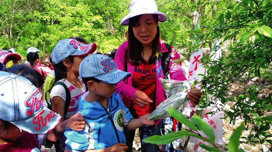 森林变异体_森林体验 生态文明创新的陕西实践
