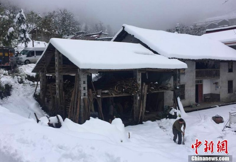 湖北五峰局部地区遭受雪灾 4万余用户停电