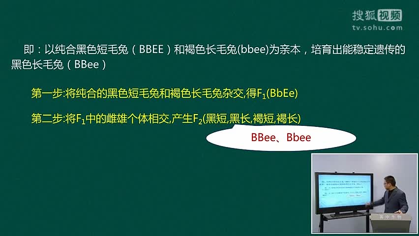 中学体育教案格式 参考_体育教案格式 模板_六年级体育教案表格式