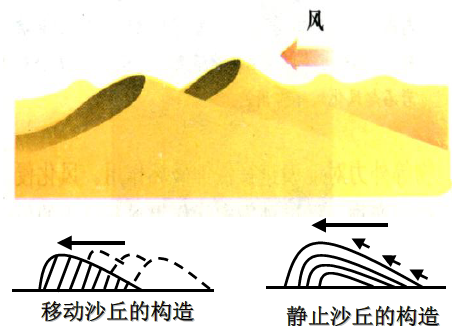 流动沙丘的成因,危害及治理问题