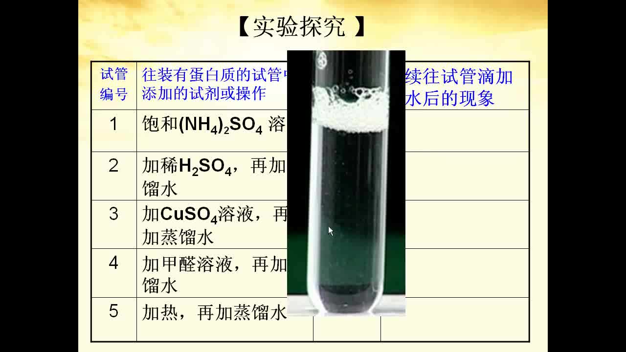 蛋白质的盐析