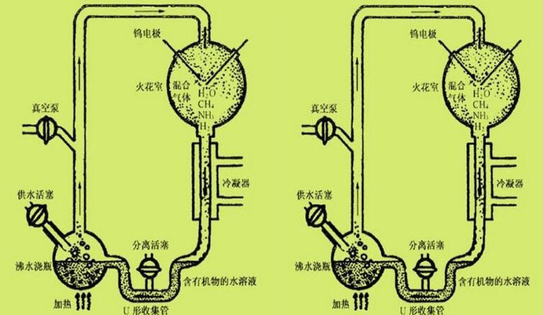 浅谈生命的起源—从米勒实验说起