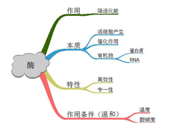高考生物学习方法 弄清知识内在联系_学科网