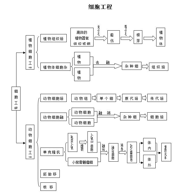 2018高考生物知识点:细胞工程