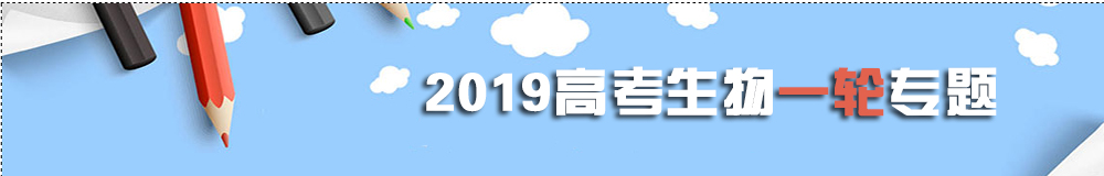 2019高考一輪復(fù)習(xí)指導(dǎo)