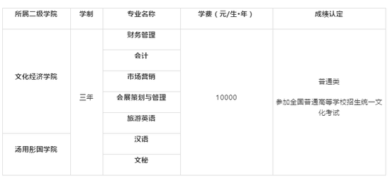 四川文化艺术学院2019艺术类专业招生简章