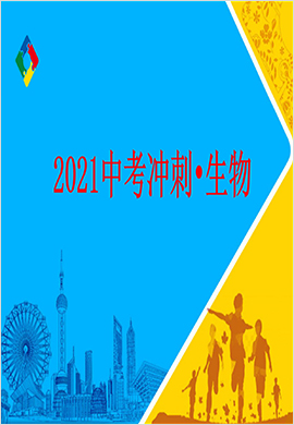 2021中考冲刺夺冠百分百历史