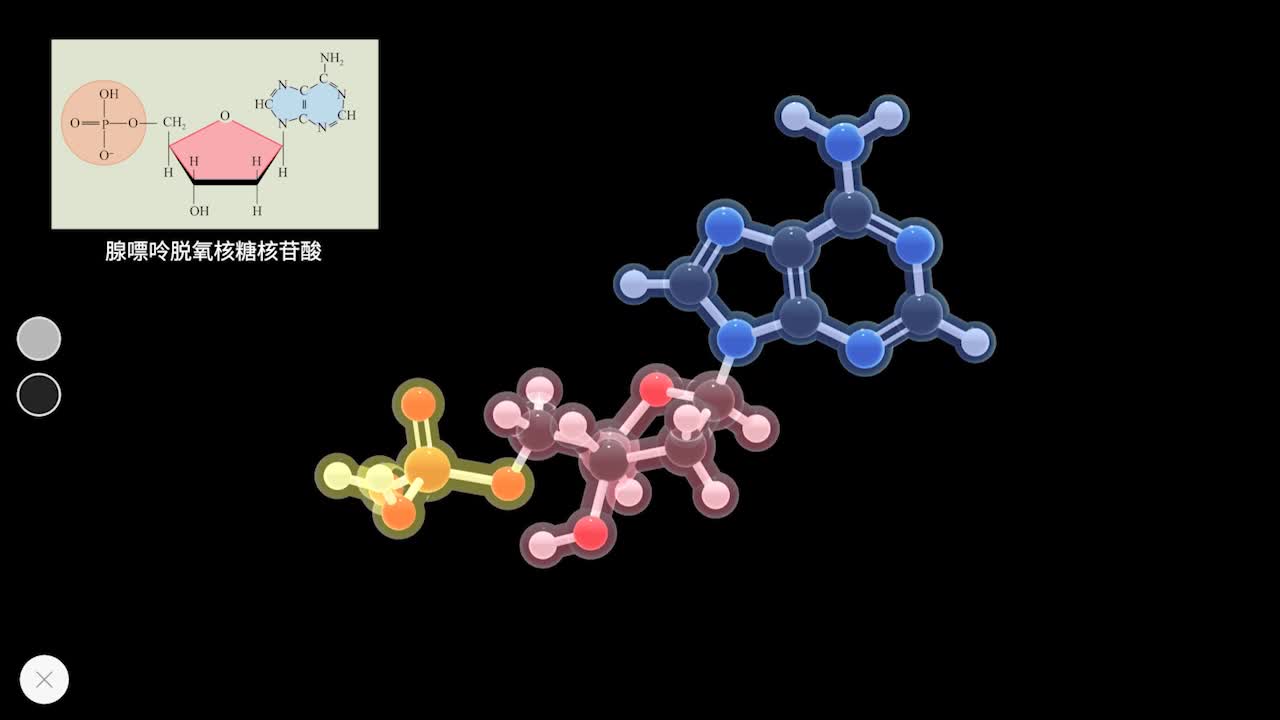 3.2 脱氧核糖核苷酸 视频-【火花学院】人教版必修二高一生物