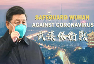2020年中考道法抗疫专题:敬畏生命,守护生命