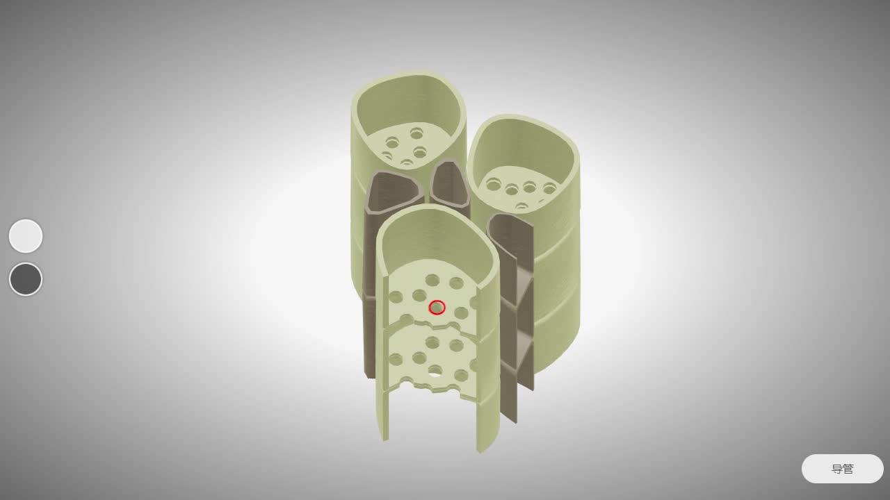 初中生物视频资源