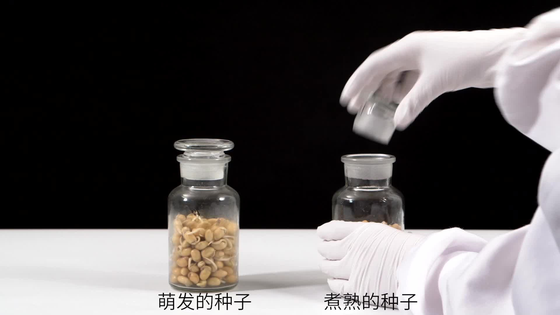 绿色植物与生物圈中的碳一氧平衡第二节 绿色植物的呼吸作用[来自e