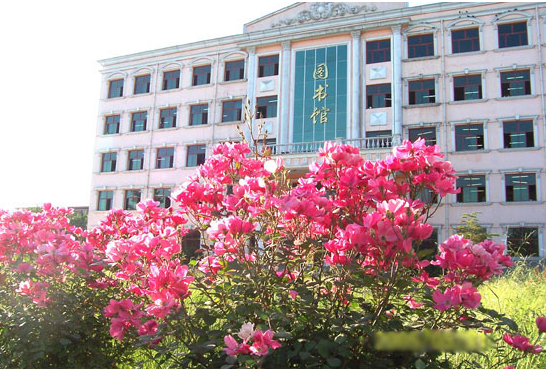 灵寿中学贴吧_河北灵寿中学