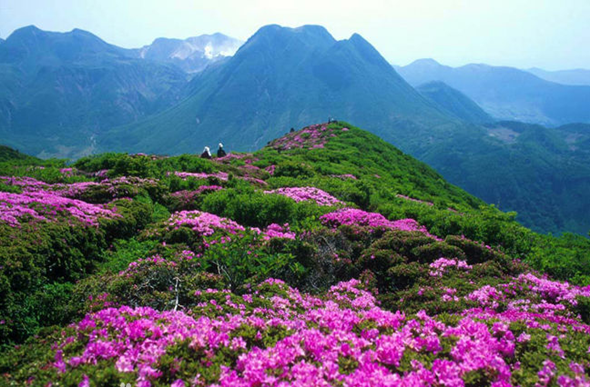 光雾山风景区光雾山的介绍