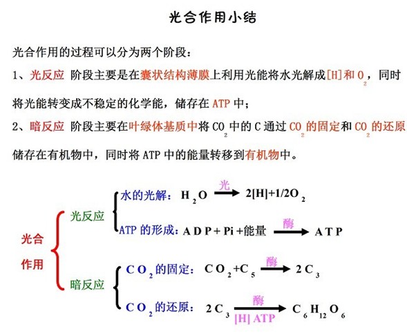 ZXXKCOM201309181450356820030.jpg