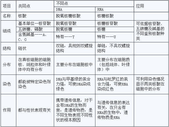 高考生物必备知识点:dna与rna的异同点