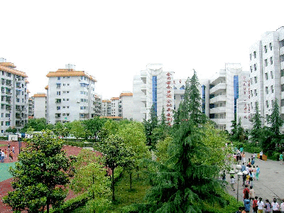 绵阳市富乐实验中学图片