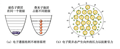 根据量子力学,基本粒子可以被分为玻色子和费米子两大类,它们的典型