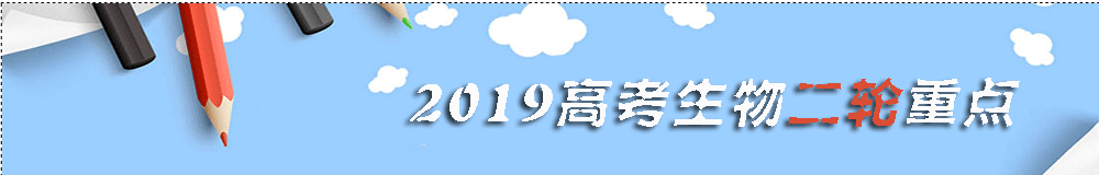 2019高考一輪復習指導