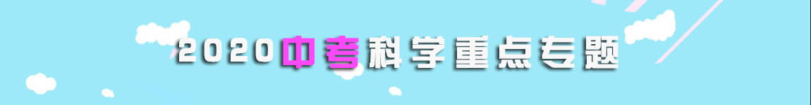 2020年中考科學(xué)重點(diǎn)復(fù)習(xí)專題匯總