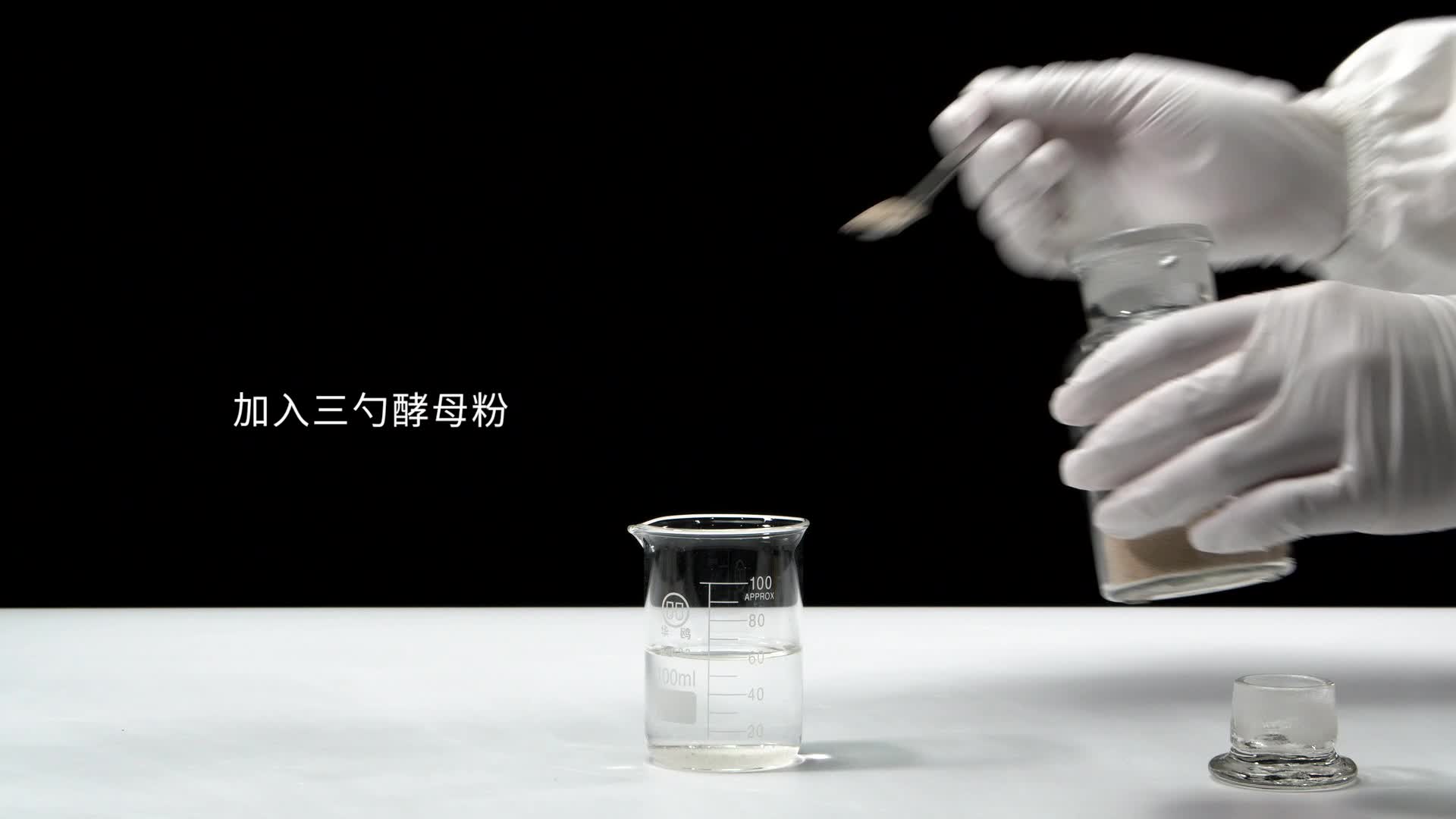 人教版 八年级生物上册 观察酵母菌