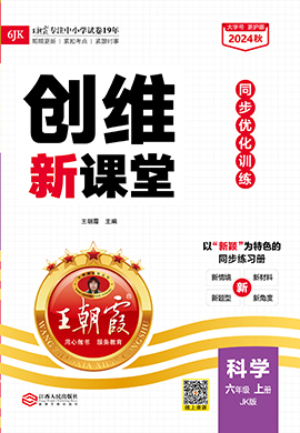 【王朝霞創(chuàng)維新課堂】2024-2025學年六年級上冊科學同步優(yōu)化訓練(教科版)