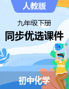 2021-2022學年九年級化學下冊同步優(yōu)選課件（人教版）