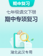 2022-2023学年七年级语文下册期中专项复习（湖北武汉专用）