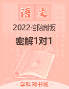 2021-2022学年五年级语文下册【优秀生·密解1对1】部编版·全彩版