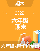黑龙江省绥化市兰西县崇文实验学校2021-2022学年六年级学制（五四学制）下学期期末考试试题