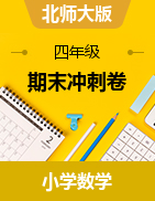 期末沖刺卷（試題）-2023-2024學(xué)年四年級(jí)下冊(cè)數(shù)學(xué)北師大版