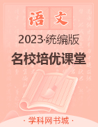 （配套课件）【名校培优课堂】2023-2024学年九年级下册语文同步课件PPT（统编版）