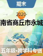 河南省商丘市永城市2019-2020学年五年级下学期期末考试试题  