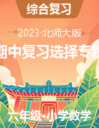 2023北師大版小學(xué)數(shù)學(xué)六年級下冊期中復(fù)習(xí)選擇專練